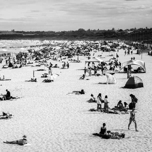 grayscale photo of people on beach sliding puzzle online