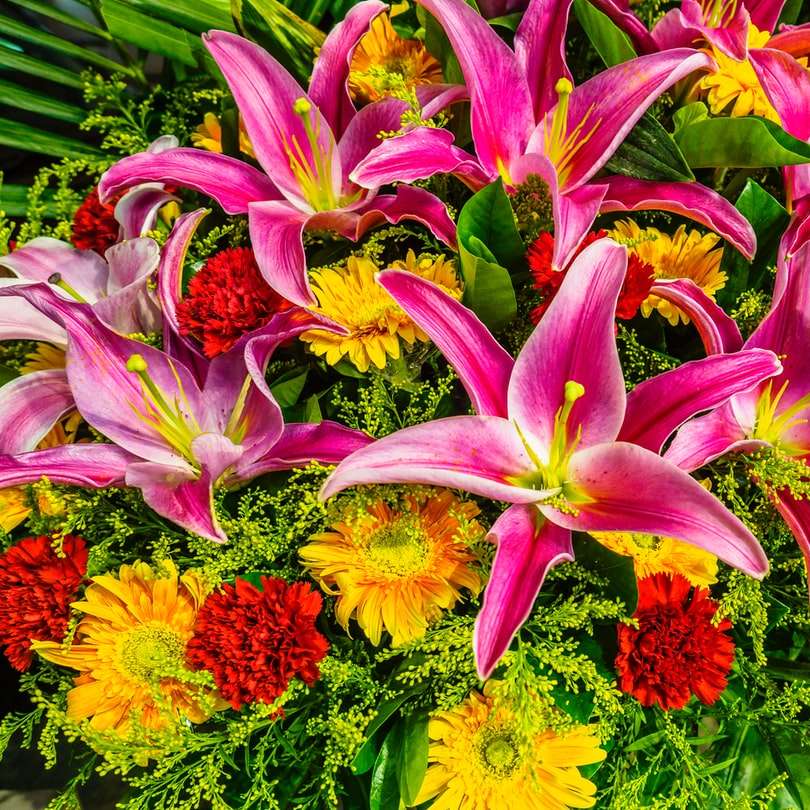 fioletowe i żółte kwiaty z zielonymi liśćmi puzzle przesuwne online