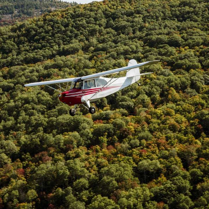 weißes und rotes Flugzeug, das über grünen Bäumen fliegt Online-Puzzle