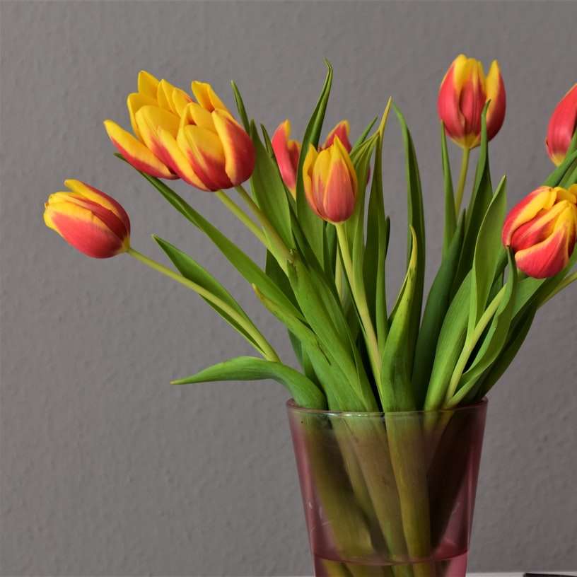 czerwone i żółte tulipany w zielonym szklanym wazonie puzzle przesuwne online