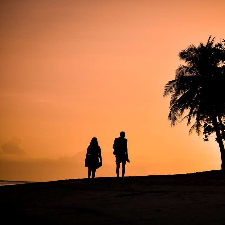 sylwetka mężczyzny i kobiety stojącej na piasku podczas zachodu słońca puzzle przesuwne online