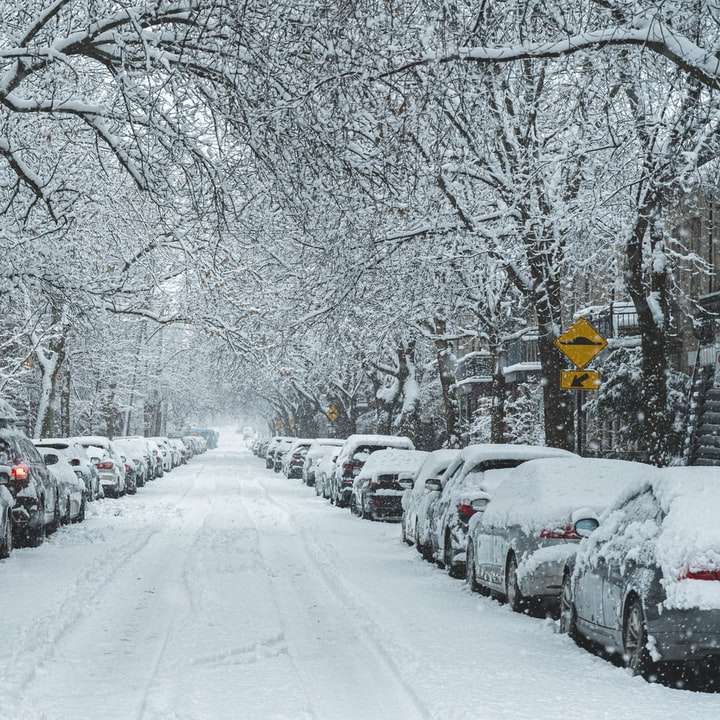 χιονισμένος δρόμος με αυτοκίνητα σταθμευμένα στο πλάι online παζλ