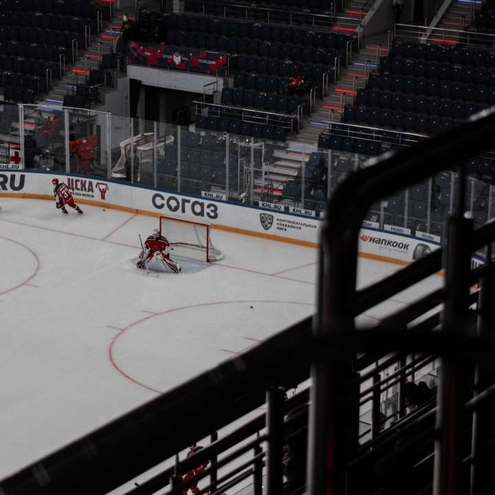 люди играют в хоккей на ледовом стадионе онлайн-пазл