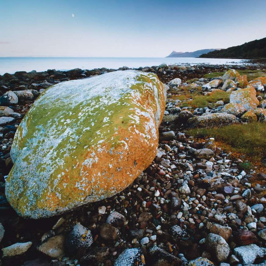 brun sten på stenig strand under dagtid glidande pussel online
