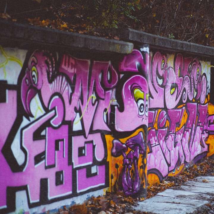 tagsüber Graffiti an der Wand Online-Puzzle