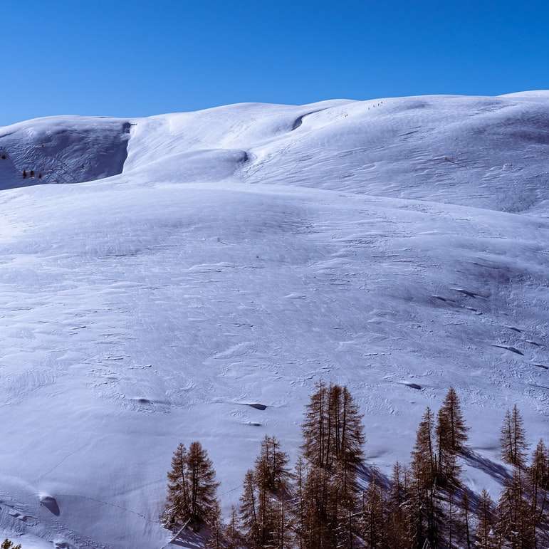 munte acoperit de zăpadă în timpul zilei puzzle online