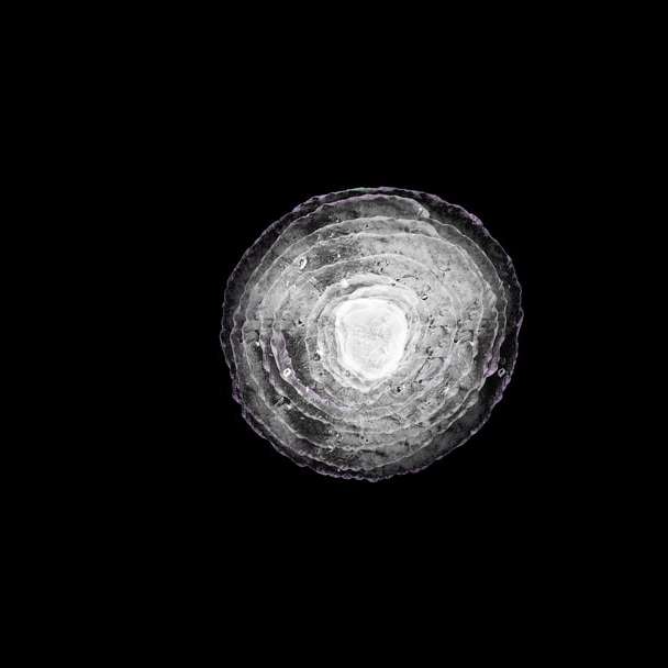 svartvit planetillustration glidande pussel online