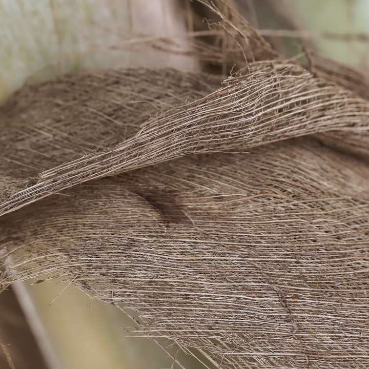 коричнева мотузка на коричневому дереві розсувний пазл онлайн