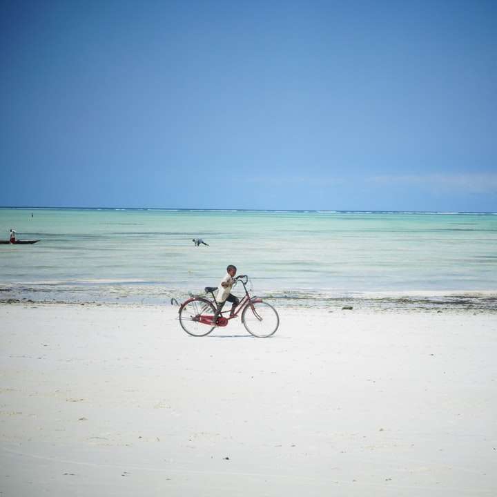 Mann, der Fahrrad am Strand während des Tages reitet Online-Puzzle