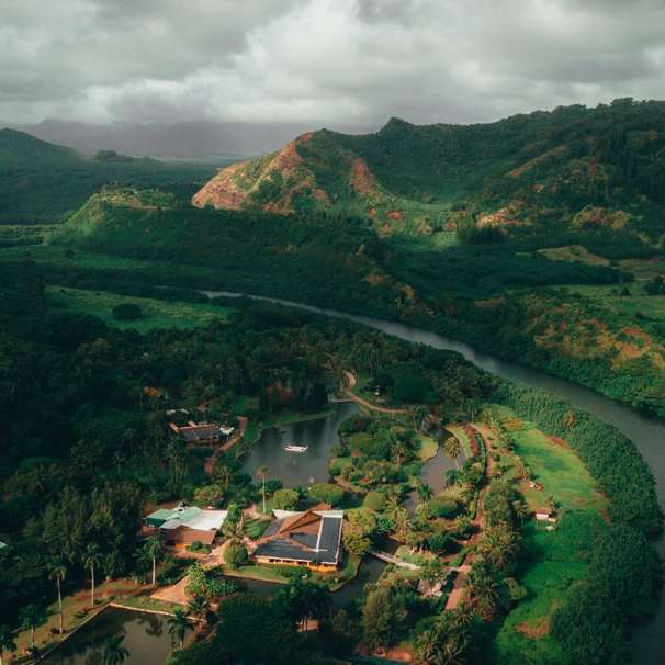 luchtfoto van groene bomen en bergen overdag online puzzel