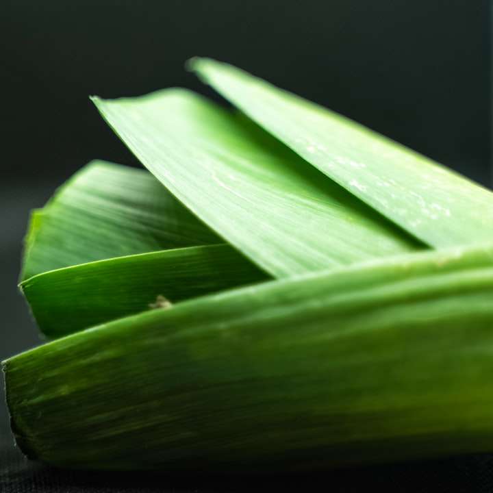 groen blad op zwarte ondergrond schuifpuzzel online