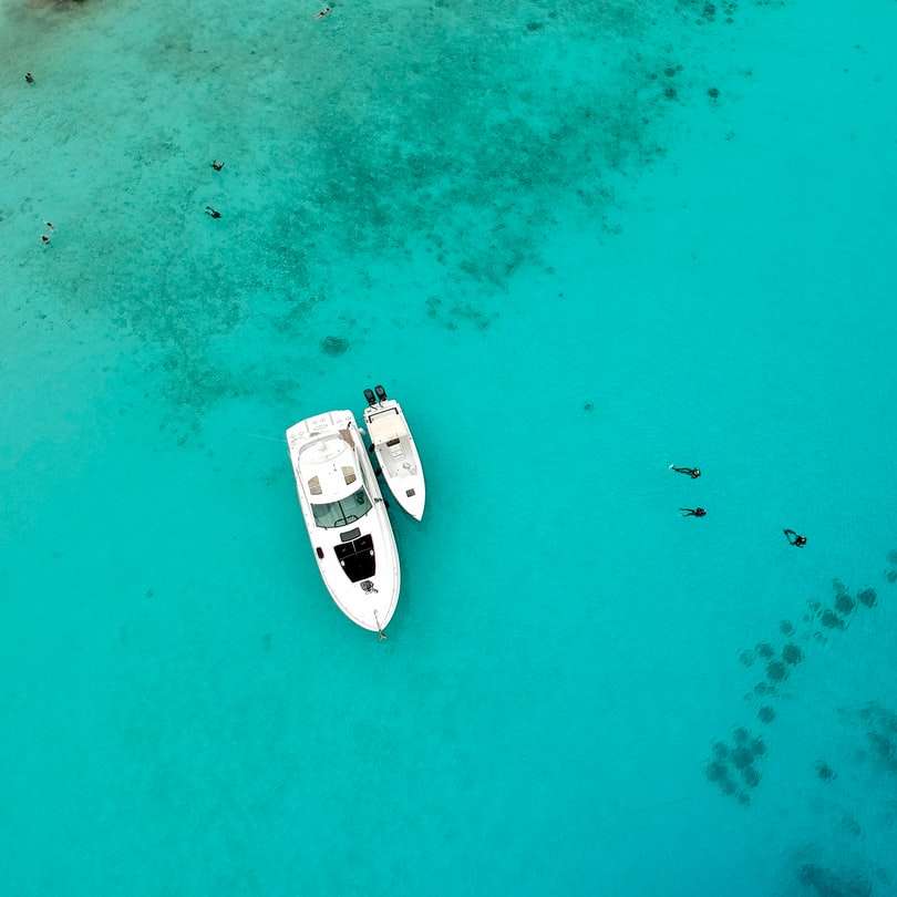 a légi felvétel a fehér és fekete csónak a nap folyamán a tengeren online puzzle