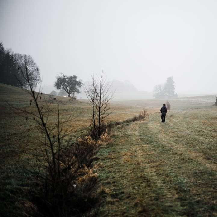 persona che cammina sul campo di erba verde durante il giorno puzzle scorrevole online