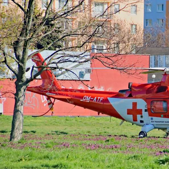 Helicóptero naranja y blanco sobre campo de hierba verde rompecabezas en línea