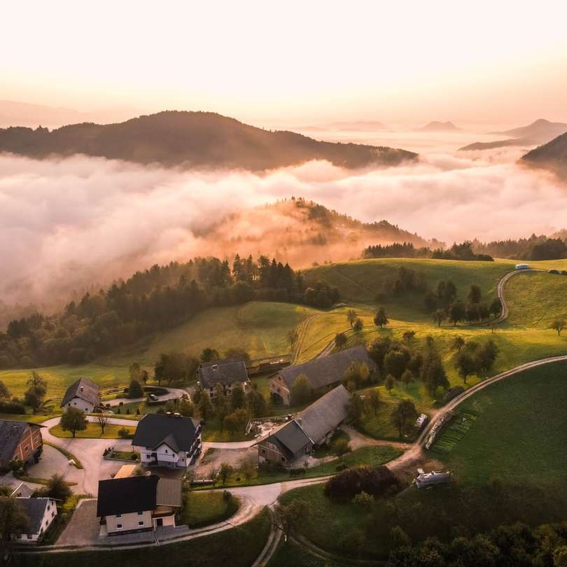 въздушен изглед на полето със зелена трева през деня плъзгащ се пъзел онлайн
