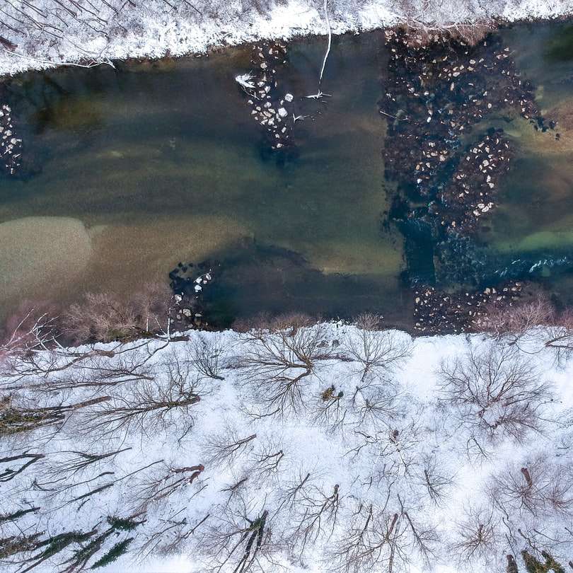árvores e campos cobertos de neve puzzle deslizante online