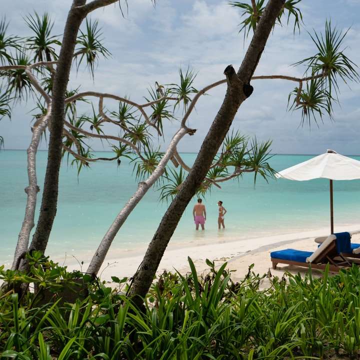 umbrele de plajă albe pe plajă în timpul zilei alunecare puzzle online