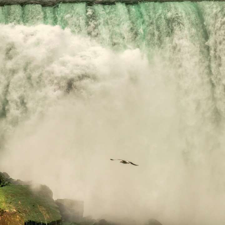 昼間に滝の上を飛んでいる鳥 スライディングパズル・オンライン