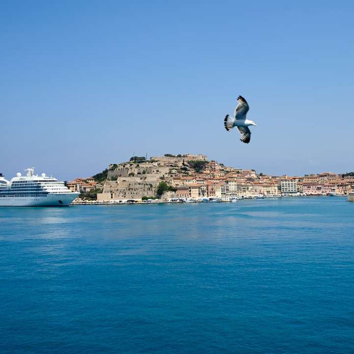 человек в белой рубашке и черных штанах прыгает по синему морю онлайн-пазл
