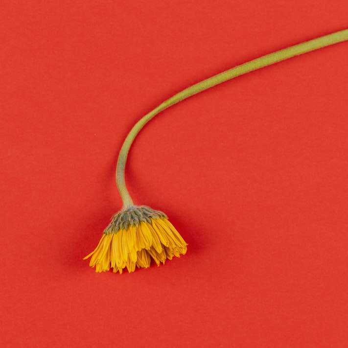 vassoura amarela e marrom em tecido vermelho puzzle deslizante online