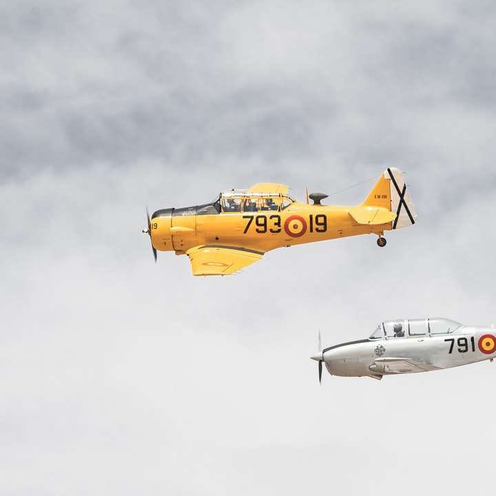 bílé a žluté proudové letadlo ve vzduchu online puzzle