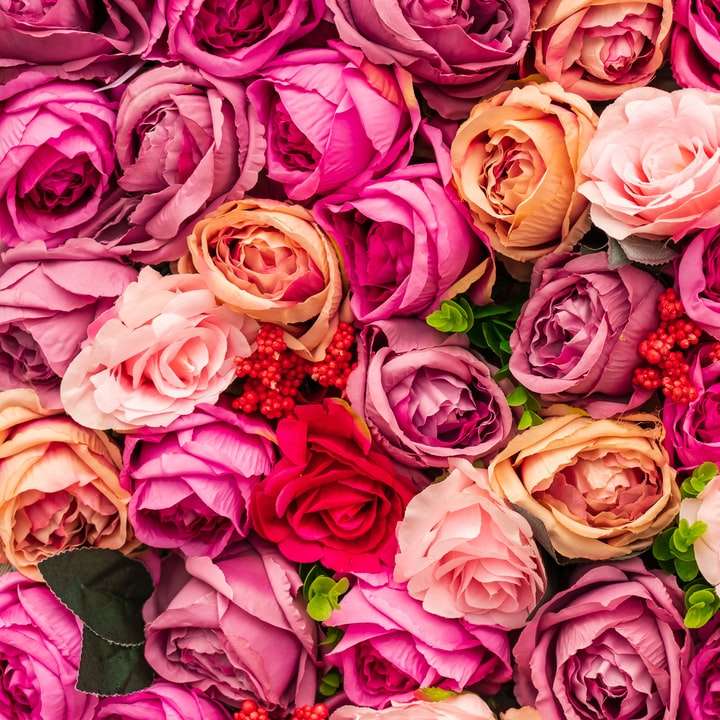 trandafiri roz și galbeni în fotografia de aproape puzzle online