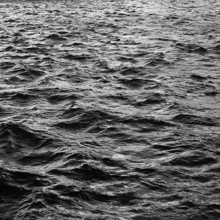 foto en escala de grises del cuerpo de agua rompecabezas en línea