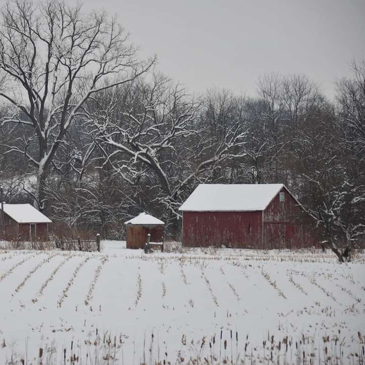 昼間の雪に覆われたフィールド上の茶色の木造住宅 オンラインパズル