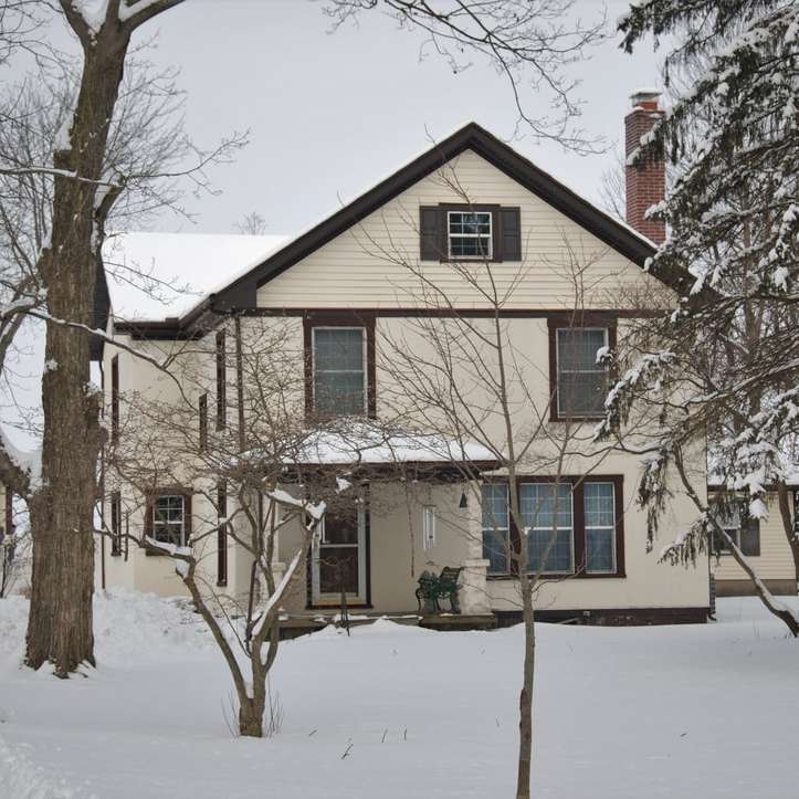 brązowo-biały betonowy dom w pobliżu nagich drzew puzzle przesuwne online