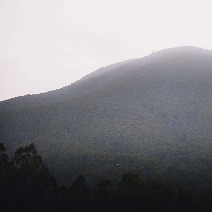 montanha verde sob o céu branco durante o dia puzzle online