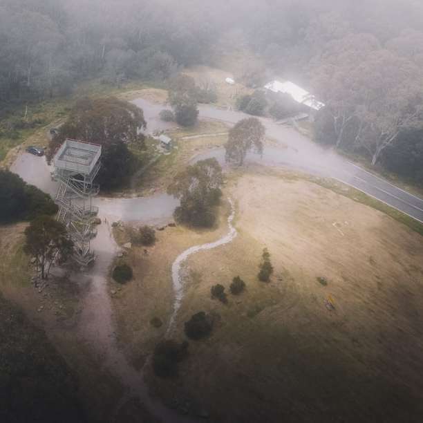 luchtfoto van groene bomen en rivier overdag schuifpuzzel online