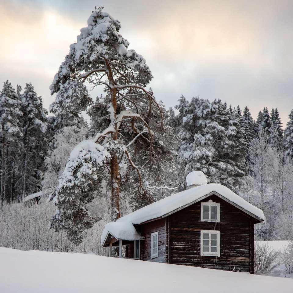 木の近くの雪に覆われた茶色の木造住宅 オンラインパズル