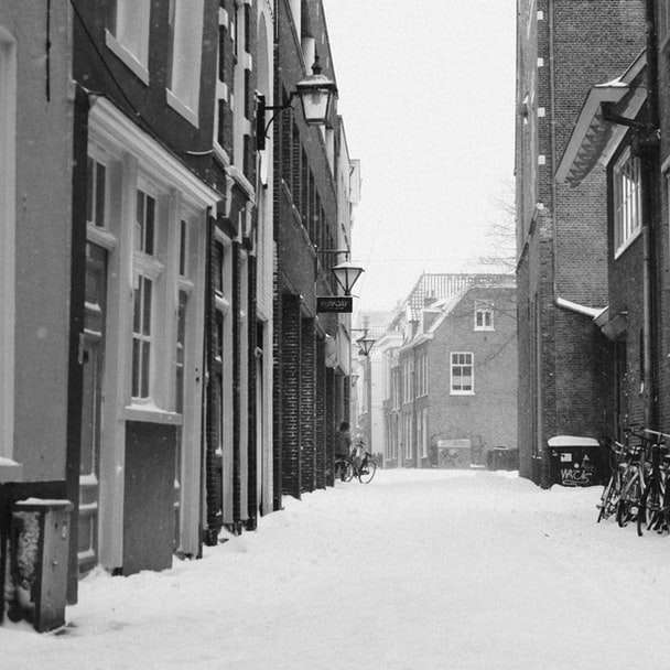 gråskalefoto av snötäckt väg mellan byggnader glidande pussel online