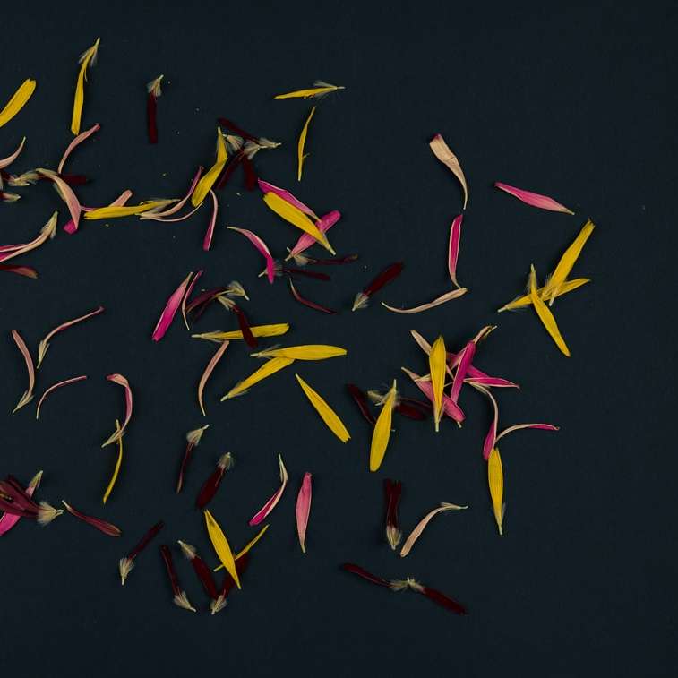 piros sárga és kék madarak repülnek online puzzle