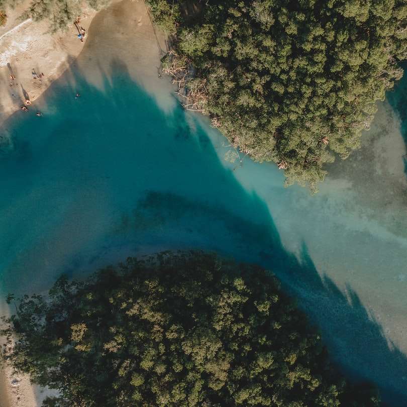 vista aérea de árvores verdes e praia de areia branca puzzle online