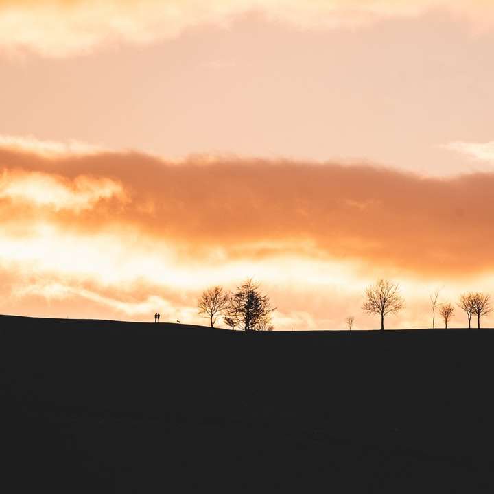 silhouette d'arbres nus au coucher du soleil puzzle en ligne