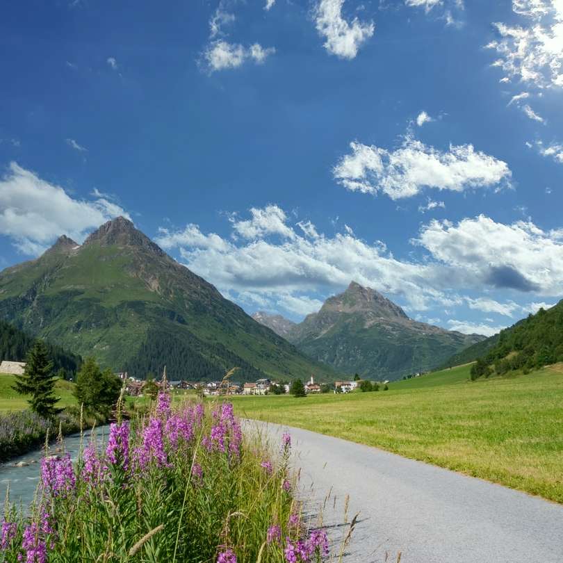 lila blommafält nära grönt berg under blå himmel Pussel online