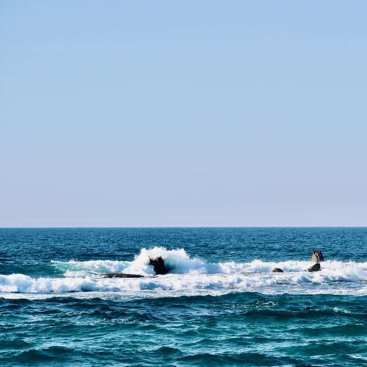 昼間の海の白いヨット オンラインパズル