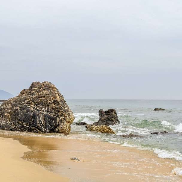 Formación de roca marrón en la orilla del mar durante el día rompecabezas en línea