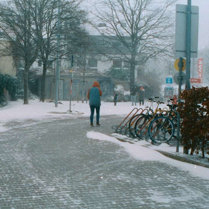 persoană în sacou roșu care merge pe drum acoperit de zăpadă alunecare puzzle online