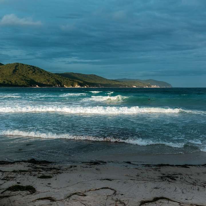 sea waves crashing on shore during daytime online puzzle