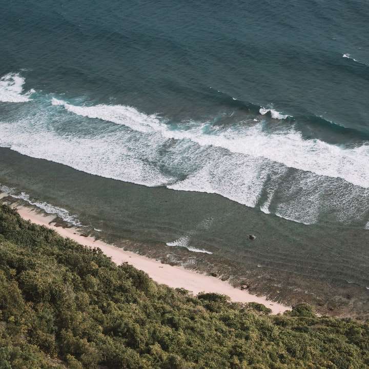 Flygfoto över gröna träd bredvid vattnet glidande pussel online