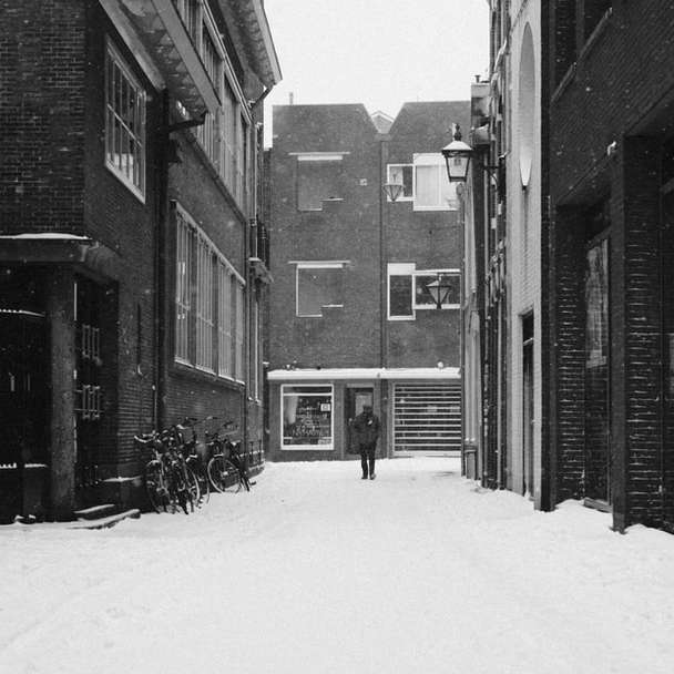 Graustufenfoto der schneebedeckten Straße Online-Puzzle