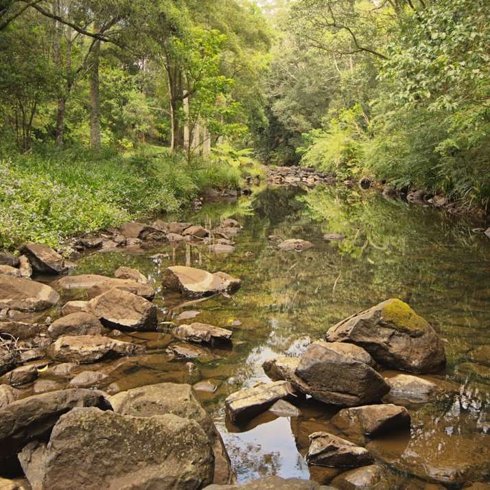 brown rocks on river during daytime sliding puzzle online