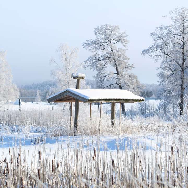brown wooden gazebo on snow covered ground during daytime online puzzle