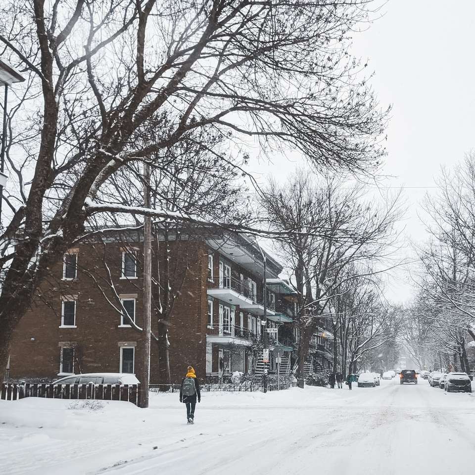 Person in schwarzer Jacke, die auf schneebedeckter Straße geht Schiebepuzzle online