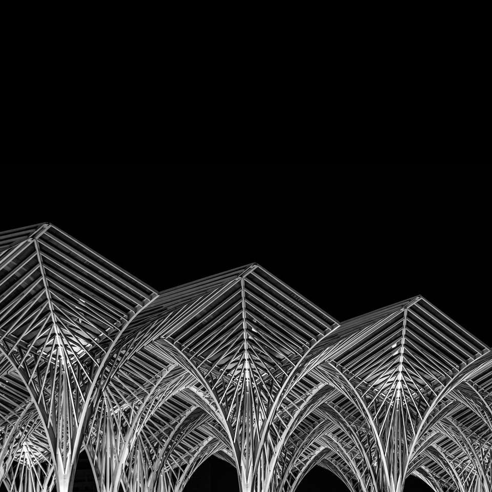 gråskalefoto av palmträd glidande pussel online