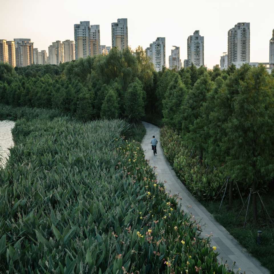 zöld fű mező a város épületei közelében, nappal csúszó puzzle online
