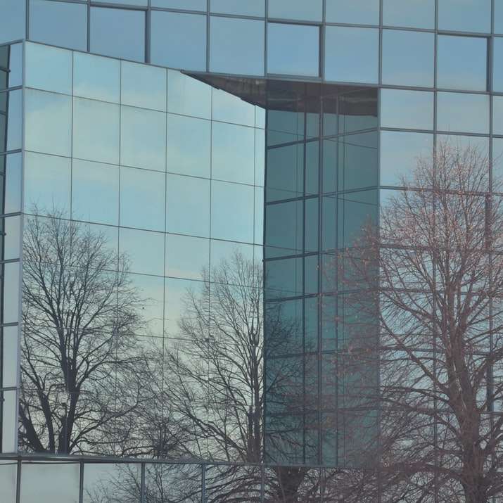 nagie drzewa w pobliżu szklanego budynku w ciągu dnia puzzle online