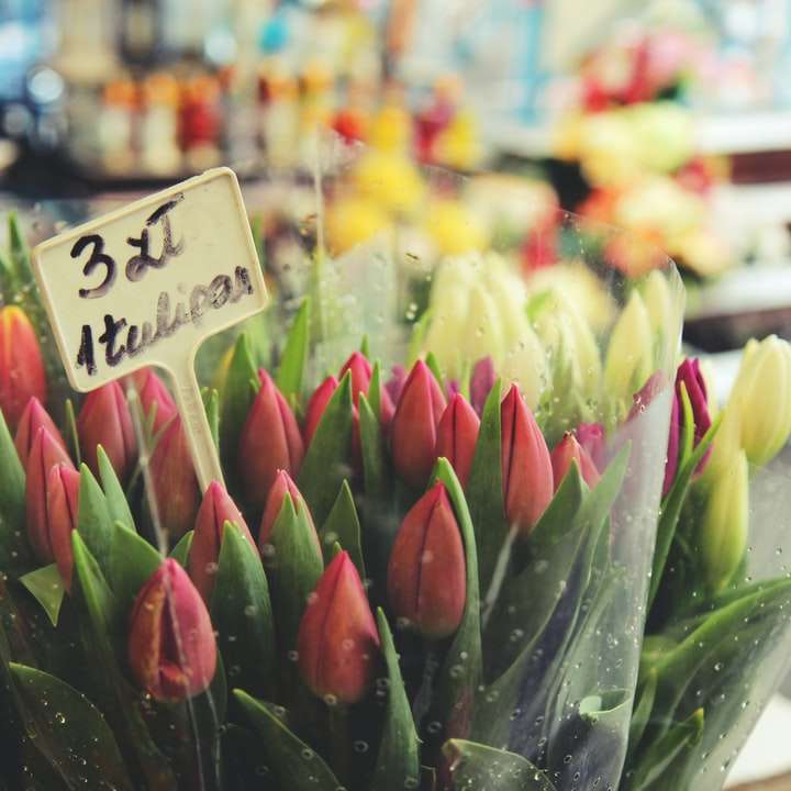 růžové tulipány v čiré skleněné váze online puzzle